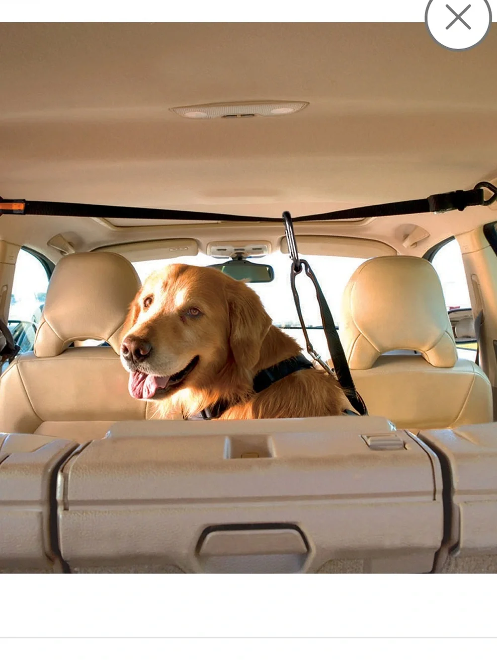 NIB Kurgo Auto Zip Line for Dogs